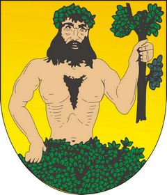 Město Město Albrechtice